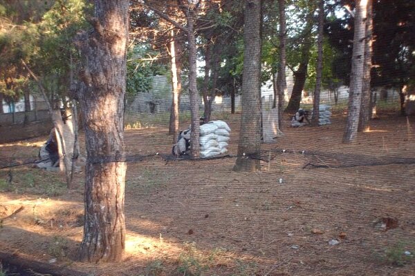 Paintball
